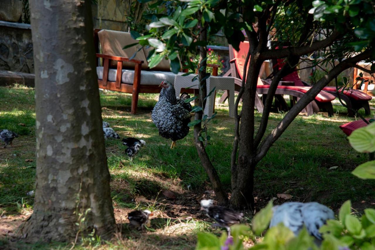 Fener Motel Ağva Exterior foto